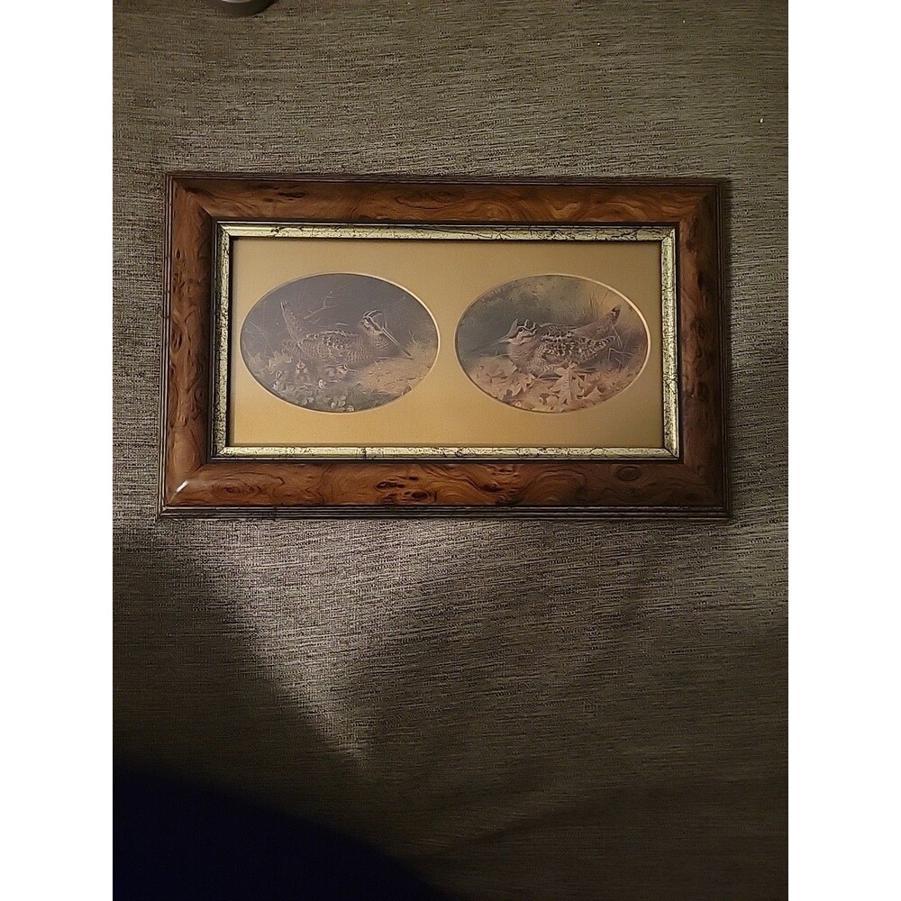 Vtg Archibald Thornburn Birds Signed Framed Art Voortman Oranjestr Amsterdam